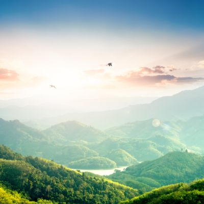 medioambiente