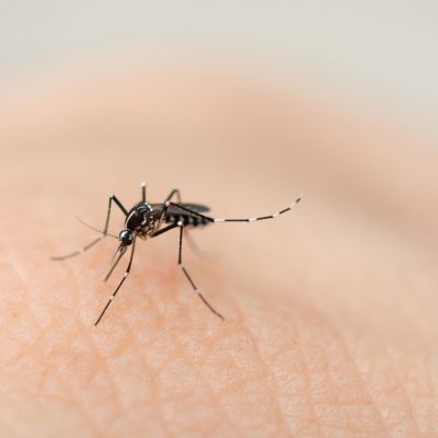 zika