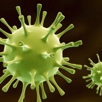 herpes y microinmunoterapia